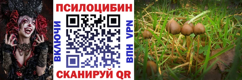 Псилоцибиновые грибы MAGIC MUSHROOMS  Котельниково 