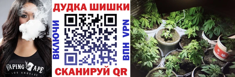 Бошки марихуана Amnesia  даркнет какой сайт  Котельниково  наркошоп 